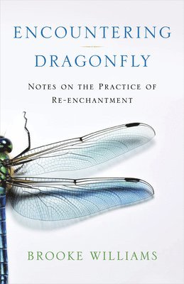 Encountering Dragonfly 1