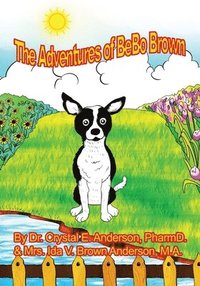 bokomslag The Adventures of Bebo