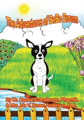 Crystal Anderson, Ida Brown Anderson - Adventures of Bebo, Häftad