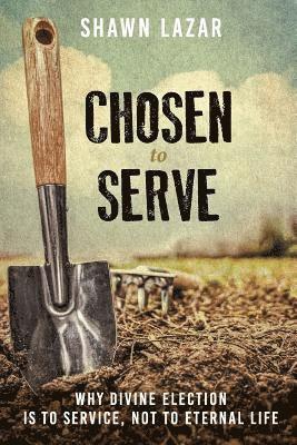 Chosen to Serve: Why Divine Election Is to Service, Not to Eternal Life 1