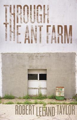 Through the Ant Farm 1