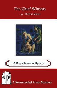 bokomslag The Chief Witness: A Roger Bennion Mystery