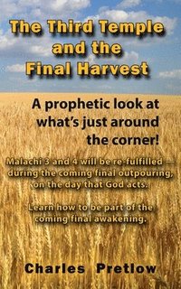 bokomslag The Third Temple and the Final Harvest