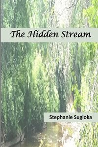 bokomslag The Hidden Stream