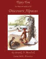 Tippy Tom Our Maine Woodland Elf Discovers Alpacas 1