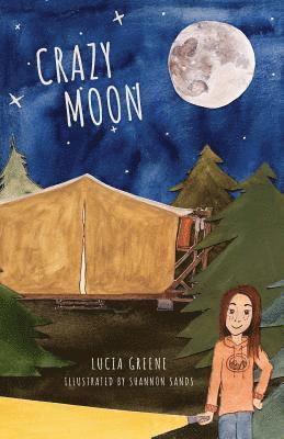 bokomslag Crazy Moon
