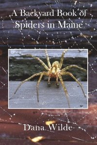 bokomslag A Backyard Book of Spiders in Maine