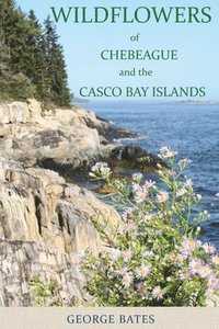 bokomslag Wildflowers of Chebeague and the Casco Bay Islands