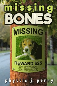 bokomslag Missing Bones
