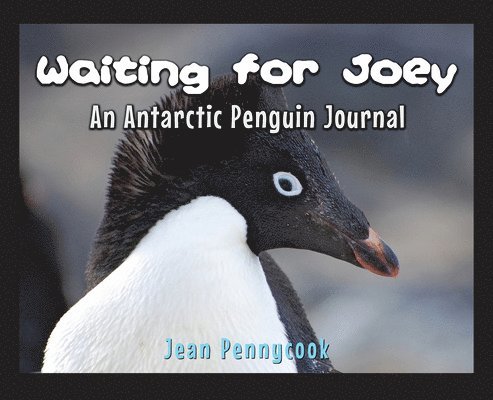 Waiting for Joey 1