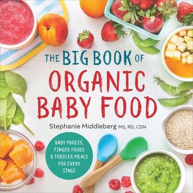 bokomslag The Big Book of Organic Baby Food