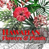 bokomslag Hawaiian Flowers & Plants