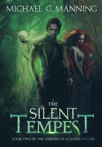 bokomslag Silent Tempest