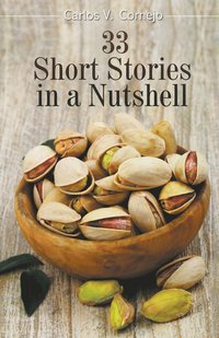 bokomslag 33 Short Stories in a Nutshell