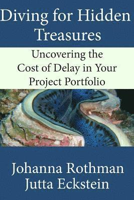 Johanna Rothman, Jutta Eckstein - Diving for Hidden Treasures: Uncovering the Cost of Delay in Your Project Portfolio, Häftad