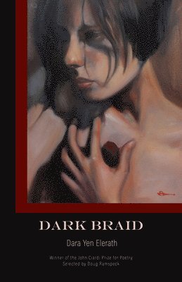 bokomslag Dark Braid
