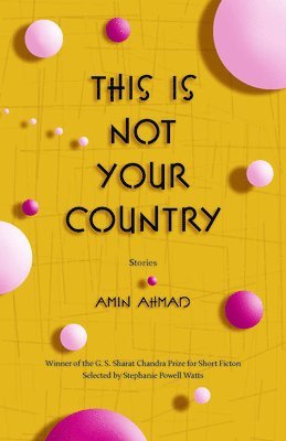 bokomslag This Is Not Your Country: Stories