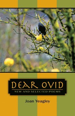 bokomslag Dear Ovid: New and Selected Poems