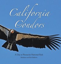 bokomslag California Condors