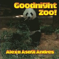 bokomslag Goodnight Zoo!