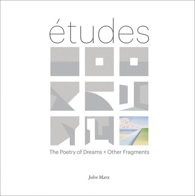 John Marx, Laura Iloniemi, Owen Hopkins, Pierluigi Serraino, Laura Iloniemi - Etudes, Inbunden
