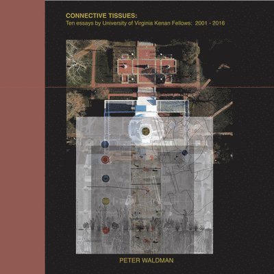 Connective Tissues: Ten Essays by University of Virginia Kenan Fellows 2001-2016 1