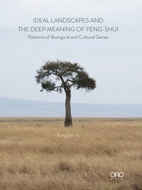 bokomslag Ideal Landscapes and the Deep Meaning of Feng-Shui