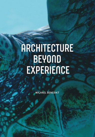 bokomslag Architecture Beyond Experience