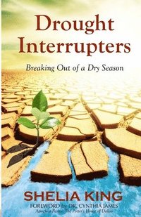 bokomslag Drought Interrupters: Breaking Out of a Dry Season
