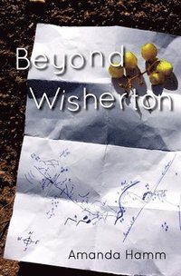 bokomslag Beyond Wisherton