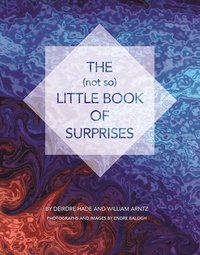 bokomslag The (not so) Little Book of Surprises