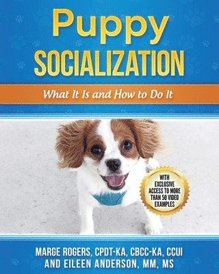 bokomslag Puppy Socialization
