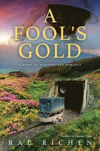 bokomslag A Fool's Gold