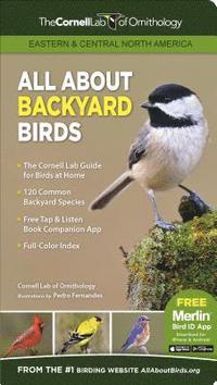 bokomslag All About Backyard Birds- Eastern & Central North America