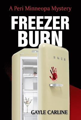 bokomslag Freezer Burn