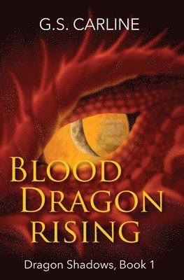 bokomslag Blood Dragon Rising: Dragon Shadows Book 1