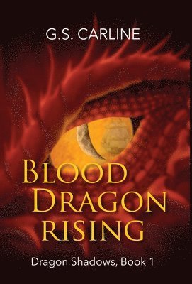 bokomslag Blood Dragon Rising