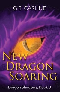 bokomslag New Dragon Soaring: Dragon Shadows Book 3