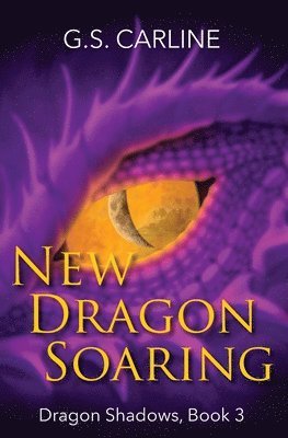 New Dragon Soaring: Dragon Shadows Book 3 1