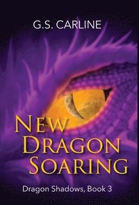 bokomslag New Dragon Soaring