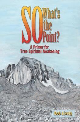 Bob Lively - So What's The Point?: A Primer for True Spiritual Awakening, Häftad