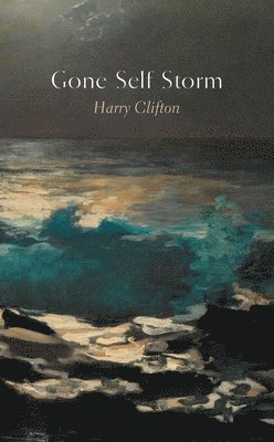 Harry Clifton - Gone Self Storm, Häftad