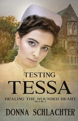 Donna Schlachter - Testing Tessa, Häftad