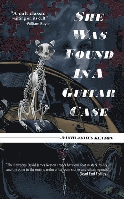 She Was Found in a Guitar Case