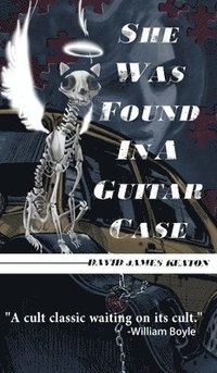 bokomslag She Was Found in a Guitar Case