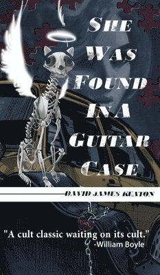 She Was Found in a Guitar Case 1