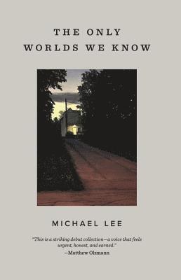 Michael Lee - The Only Worlds We Know, Häftad