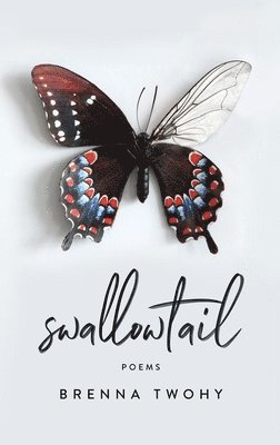 bokomslag Swallowtail