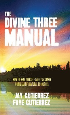 bokomslag Divine Three Manual