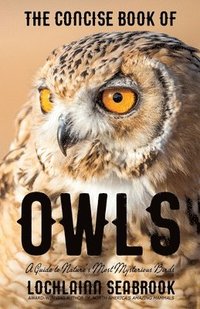 bokomslag Concise Book of Owls